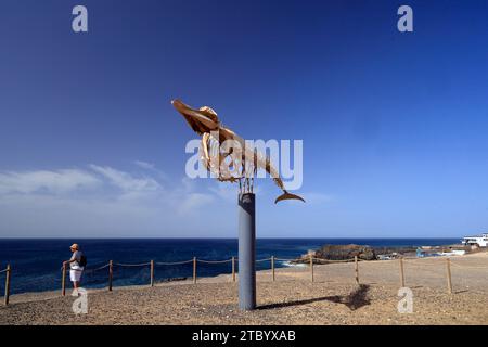 Scheletro di balena conservato (balena dal becco di Cuvier - ziphius caviostris) in mostra, El Cotillo, Fuerteventura, Isole Canarie, Spagna. Presa nel novembre 2023 Foto Stock