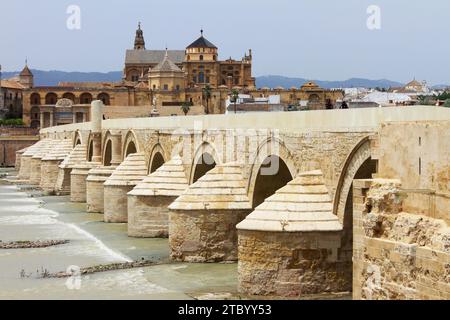 Vista di la Mezquita, la cattedrale della moschea di Cordova, dal lato del fiume Foto Stock