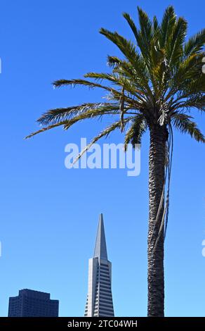 San Francisco, CA, USA - 25 luglio 2023: La Transamerica Pyramid è un grattacielo modernista di 48 piani a San Francisco. Foto Stock