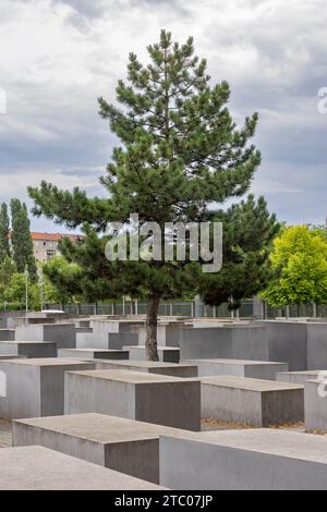 Albero tra le pietre commemorative del Memoriale ebraico dell'Olocausto vicino alla porta di Brandeburgo a Berlino in Germania Europa Foto Stock