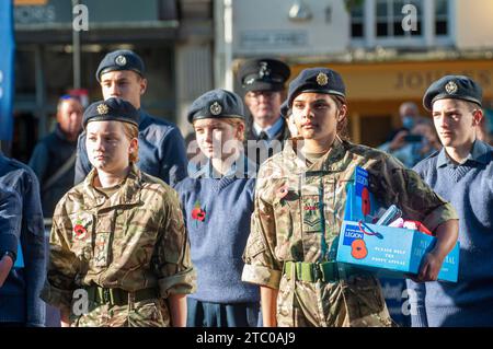 La Royal British Legion lanciò il Poppy Appeal a Truro, in Cornovaglia. Foto Stock