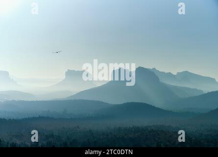 Un maestoso uccello vola attraverso il cielo sopra Cathedral Rock, Arizona. Foto Stock