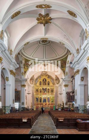 Navata centrale della chiesa dell'assunzione della città di Villafames (Vilafames) del comune di Castellon, Comunità Valenciana, Spagna. Foto Stock