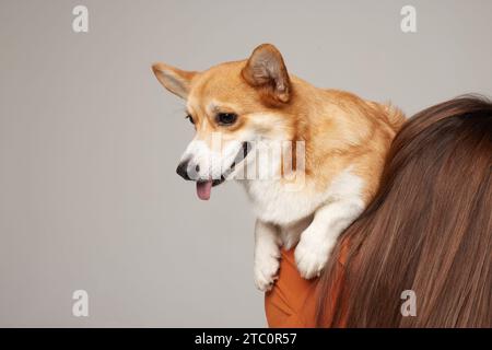ragazza che tiene un cane corgi tra le braccia su uno sfondo chiaro e pulito, amore per i cani Foto Stock