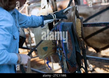 Un cowboy prepara le sue pelli per un giro in rodeo Foto Stock