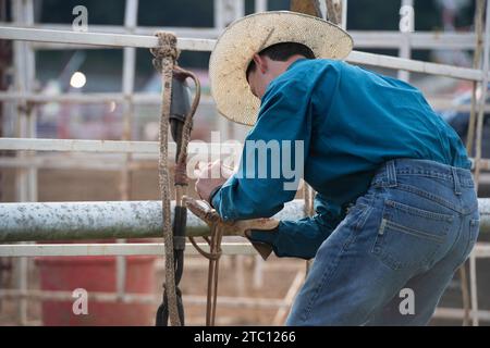 Un cowboy prepara le sue pelli per un giro in rodeo Foto Stock