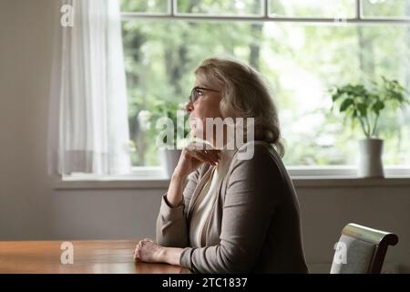 I pensionati femminili in età avanzata negli occhiali riflettono sui problemi quotidiani Foto Stock