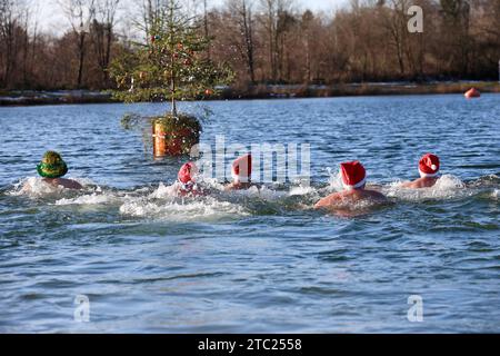 Ertingen, Germania. 10 dicembre 2023. Gli uomini e una donna nei cappelli di Babbo Natale nuotano intorno a un albero di Natale attaccato a una boa nella Schwarzachtalsse nel secondo Avvento a temperature a una cifra. Crediti: Thomas Warnack/dpa/Alamy Live News Foto Stock