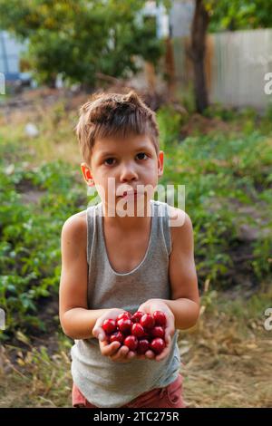 Il ragazzo tiene ciliegie rosse fresche nel palmo. Frutta fresca biologica. Raccolto estivo. Capelli Shaggy sulla testa Foto Stock