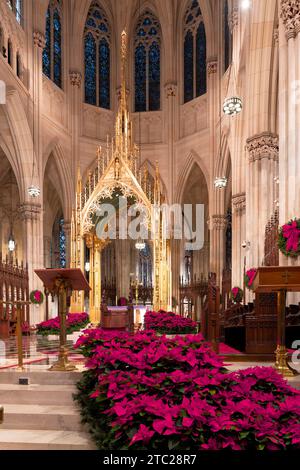 l'interieur de Saint patrick Cathedral dans la 5e avenue de New York pendant les fetes de Noel Foto Stock