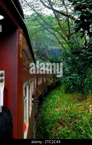 Dalla stazione ferroviaria principale di Colombo Fort in Sri Lanka alla stazione di Badulla attraversa una fitta foresta. Foto Stock