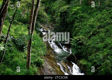 Una delle cascate più belle del distretto di Nuwa Eliya in Sri Lanka si trova vicino al ponte ferroviario Foto Stock