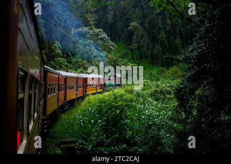 Dalla stazione ferroviaria principale di Colombo Fort in Sri Lanka alla stazione di Badulla attraversa una fitta foresta. Foto Stock