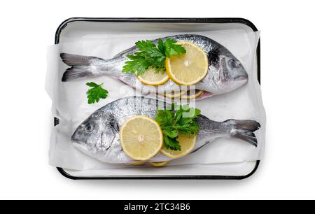 Dorado fresco o orata di mare con limone ed erbe, pesce in vassoio da forno pronto per essere cucinato, vista dall'alto su sfondo bianco isolato Foto Stock