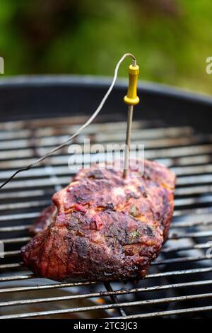 misurare il calore in una bistecca Foto Stock