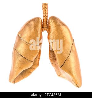Polmoni umani dorati, rendering 3D isolato su sfondo bianco Foto Stock