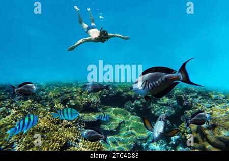 Snorkeling esplorando la barriera corallina subacquea Foto Stock