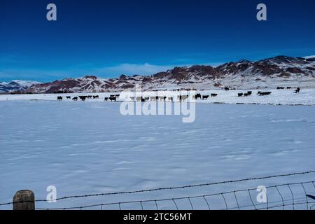 vista invernale della valle rotonda Foto Stock