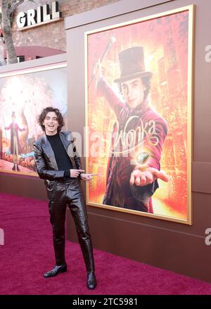 Los Angeles, California, USA. 10 dicembre 2023. Il membro del cast Timothée Chalamet partecipa alla prima del film commedia musicale "Wonka" al Village Theatre nella sezione Westwood di Los Angeles domenica 10 dicembre 2023. Trama: Sognando di aprire un negozio in una città rinomata per il suo cioccolato, un giovane e povero Willy Wonka scopre che l'industria è gestita da un cartello di golosi cioccolatieri. Foto di Greg Grudt/UPI Credit: UPI/Alamy Live News Foto Stock