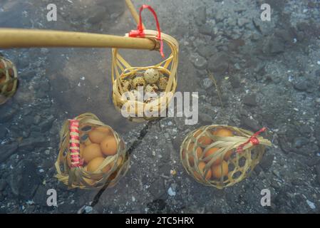 Uova bollite nelle sorgenti termali naturali. Uova di pollo nel cestino dei turisti bollite in acqua calda minerale e naturale al Chae Son National Park Lampang, tailandese Foto Stock