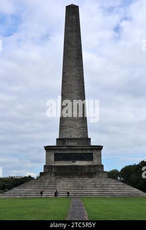 Dublino - Obelisco ottocentesco di Wellington nel Phoenix Park Foto Stock