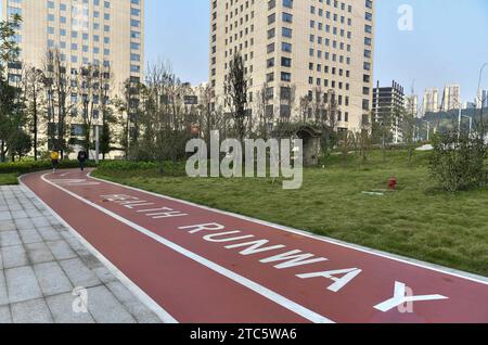 L'ascensore turistico e il parco sotto il Chaotianmen Yangtze River Bridge sono completati e aperti al pubblico a Chongqing, Cina, l'8 dicembre 202 Foto Stock