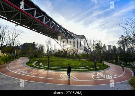 L'ascensore turistico e il parco sotto il Chaotianmen Yangtze River Bridge sono completati e aperti al pubblico a Chongqing, Cina, l'8 dicembre 202 Foto Stock