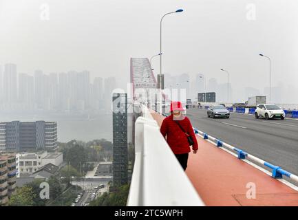 L'ascensore turistico e il parco sotto il Chaotianmen Yangtze River Bridge sono completati e aperti al pubblico a Chongqing, Cina, l'8 dicembre 202 Foto Stock