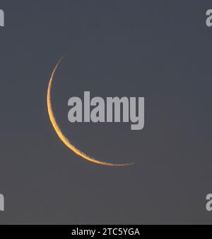 Wimbledon, Londra, Regno Unito. 11 dicembre 2023. Luna a mezzaluna illuminata al 3% che si innalza sul cielo sud-orientale di Londra in una mattinata limpida, un giorno prima della Luna nuova. Crediti: Malcolm Park/Alamy Live News Foto Stock