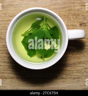 Tazza da tè con tè alle erbe appena fatto su tavola di legno foto di primo piano Foto Stock