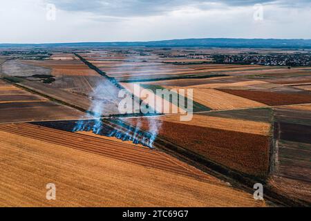 La combustione delle stoppie del campo di grano dopo la raccolta dei cereali è una delle principali cause di inquinamento atmosferico, colpo aereo dal drone pov, visuale dall'alto Foto Stock