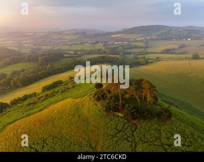 Vista aerea di Colmer's Hill all'alba di una mattina d'estate, West Dorset, Inghilterra. Estate (giugno) 2023. Foto Stock