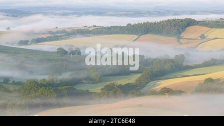 La foschia avvolge la campagna estiva, Crediton, Devon, Inghilterra. Estate (giugno) 2023. Foto Stock