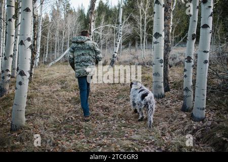 Un uomo con un cane che cammina attraverso una tranquilla foresta di aspen in Idaho Foto Stock