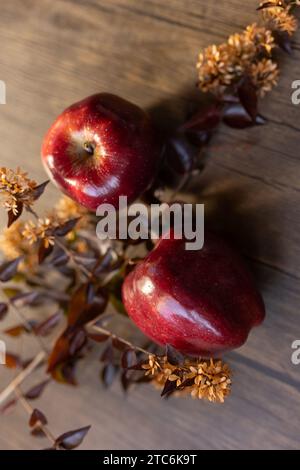 due mele rosse con una pianta autunnale su fondo di legno Foto Stock