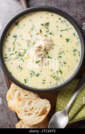 Ciorba radauteana zuppa di pollo acida tradizionale rumena primo piano sul piatto sul tavolo. Vista dall'alto verticale Foto Stock