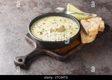 Ciorba Radauteana è una zuppa tradizionale rumena a base di pollo, cipolle, peperoncino rosso dolce, sedano, carote, aglio, prezzemolo e panna acida chiudono Foto Stock