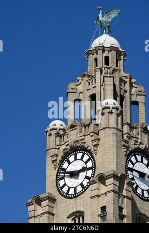 Corner Clock Tower & Liver Bird of the Royal Liver Building (1908-1911) di Walter Aubrey Thomas, sul Pier Head o Waterfront Liverpool Inghilterra Regno Unito Foto Stock