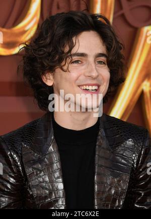 Los Angeles, California, USA. 10 dicembre 2023. Timothée Chalamet partecipa alla Los Angeles Premiere della Warner Bros. "Wonka" al Regency Village Theatre il 10 dicembre 2023 a Los Angeles, California. Crediti: Jeffrey Mayer/JTM Photos/Media Punch/Alamy Live News Foto Stock