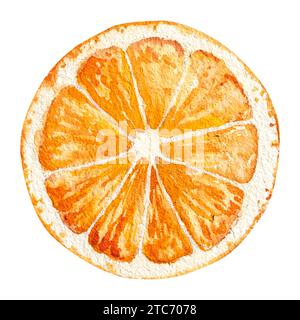 una fetta d'arancia e una fetta di limone essiccato, acquerello disegnato a mano con arancio e limone. Foto Stock