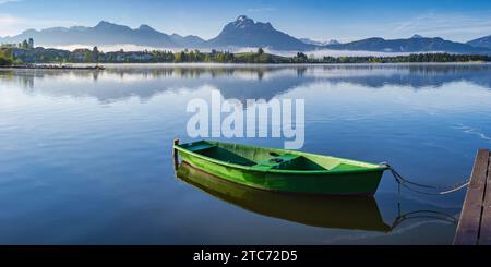 Barca a remi verde, Hopfensee, Hopfen am SEE, vicino a Füssen, Ostallgäu, Allgäu, Baviera, Germania, Europa Foto Stock