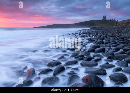 Splendido cielo rosa all'alba sopra il castello di Dunstanburgh, fotografato da Embleton Bay, Northumberland, Inghilterra. Primavera (marzo) 2023. Foto Stock