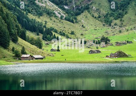 Tranquillo villaggio rustico in collina vicino al lago di montagna Seealpsee in estate ad Appenzell, Svizzera Foto Stock