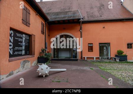 Colmar, Francia, 23 luglio 2023. André Malraux Contemporary Art Space Foto Stock