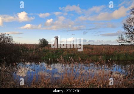 Vista su una piccola diga con paludi e fen verso West Somerton Drainage Mill sulle Norfolk Broads a West Somerton, Norfolk, Inghilterra, Regno Unito. Foto Stock