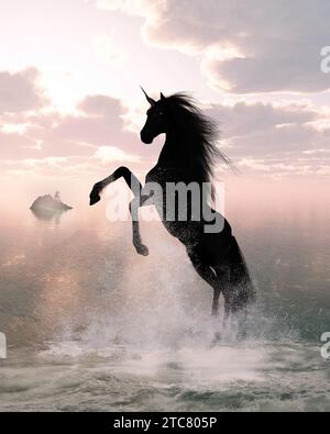 Unicorno nero che cresce nel mare di sera Foto Stock