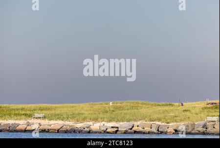 un paio di persone che camminano sull'erba della spiaggia di gin, montauk Foto Stock