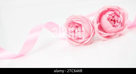 Due rose rosa e nastri isolati su sfondo bianco, San Valentino Foto Stock