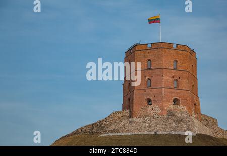 Una foto della Torre Gediminas, a Vilnius Foto Stock