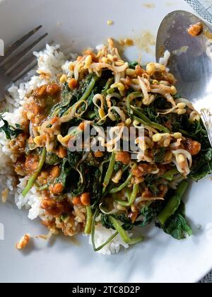 Il "Nasi Pecel" è un tradizionale piatto di riso giavanese composto da riso al vapore con insalata di verdure e salsa di arachidi Foto Stock